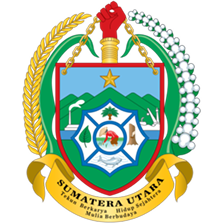 Cover Peraturan Walikota Kota Binjai Nomor: 13 Tahun 2022